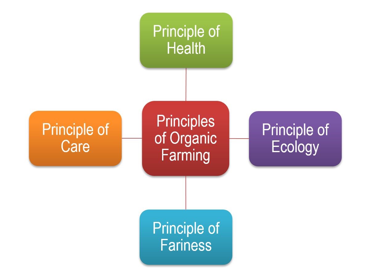 Organic Farming Principle Pendulumias
